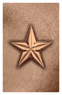 DF35T 430 BZ BZ Star Bronze Bronze